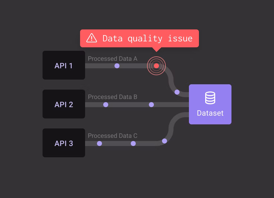 Data Quality Issue